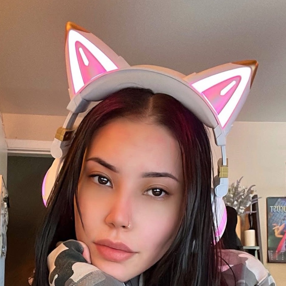 Cat Ear Headphones with Pink and Gold Accents